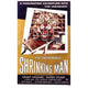 The Incredible Shrinking Man movie poster print 27x40