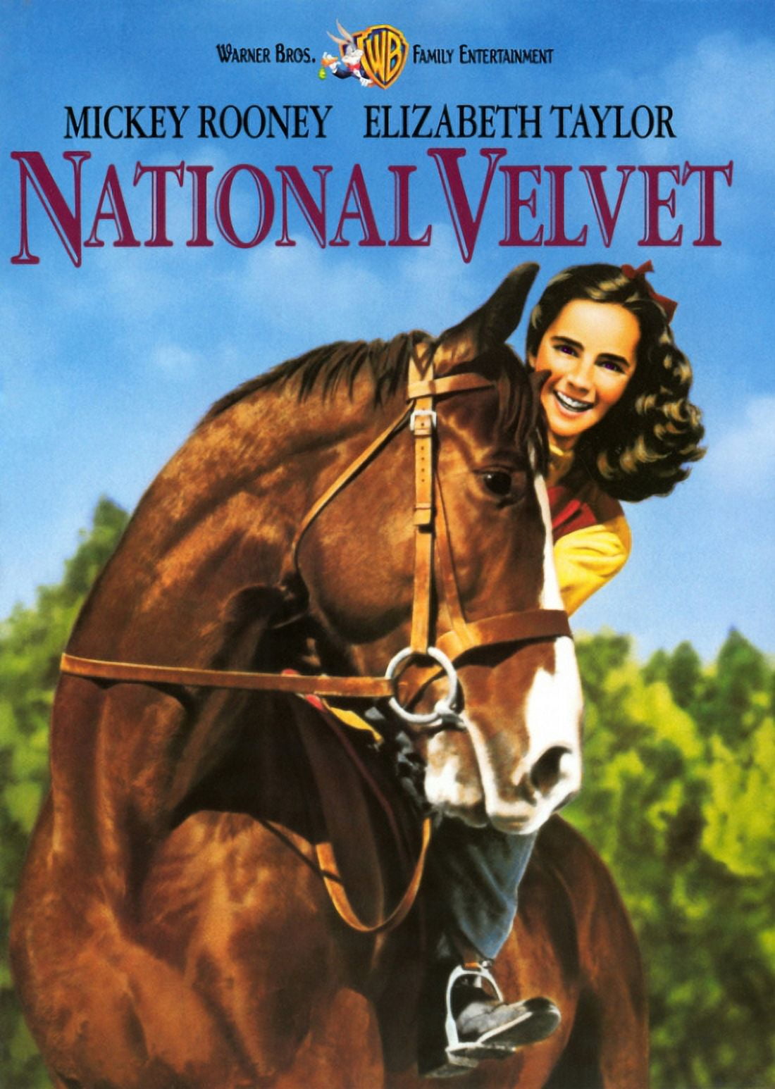 National Velvet Movie Poster - Classic Film Art Print 11x17