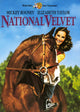 National Velvet Movie Poster - Classic Film Art Print 11x17