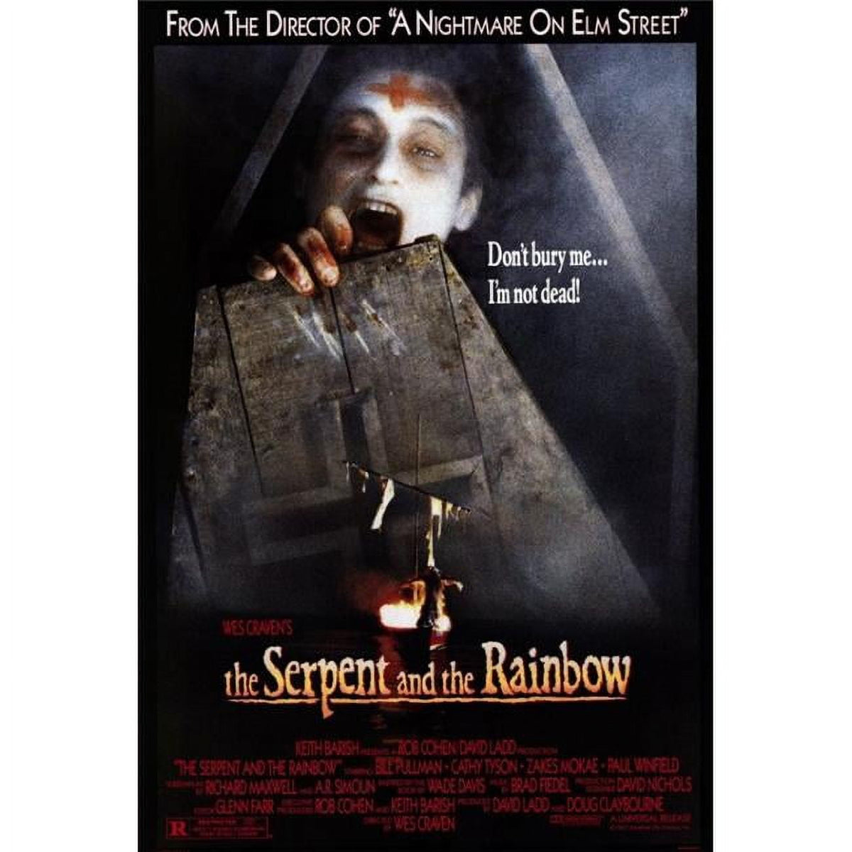 The Serpent and the Rainbow movie poster print 27x40