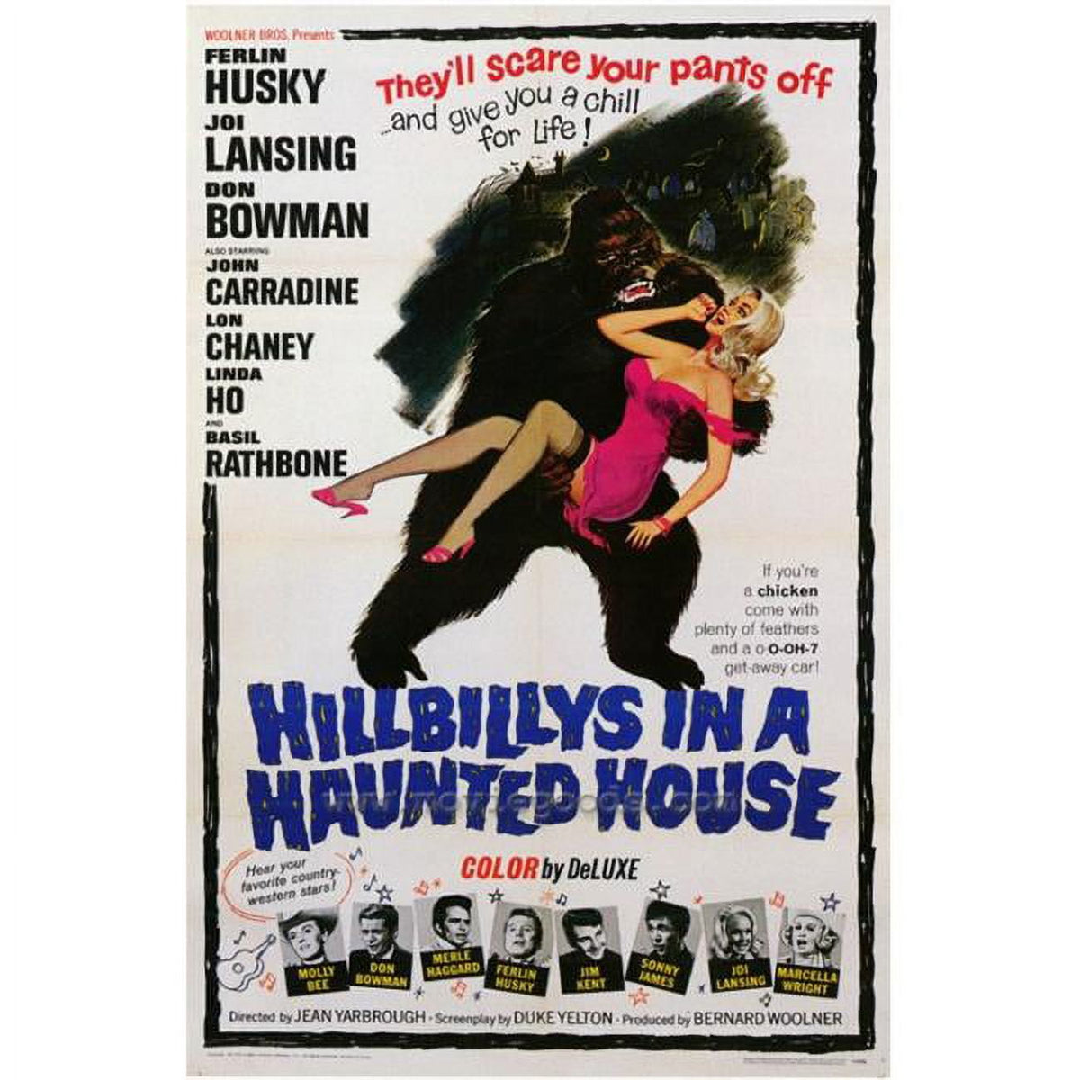 Hillbillys in a Haunted House Movie Poster Print - 27x40