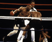 Mike Tyson fighting Anthony Davis action photo print.