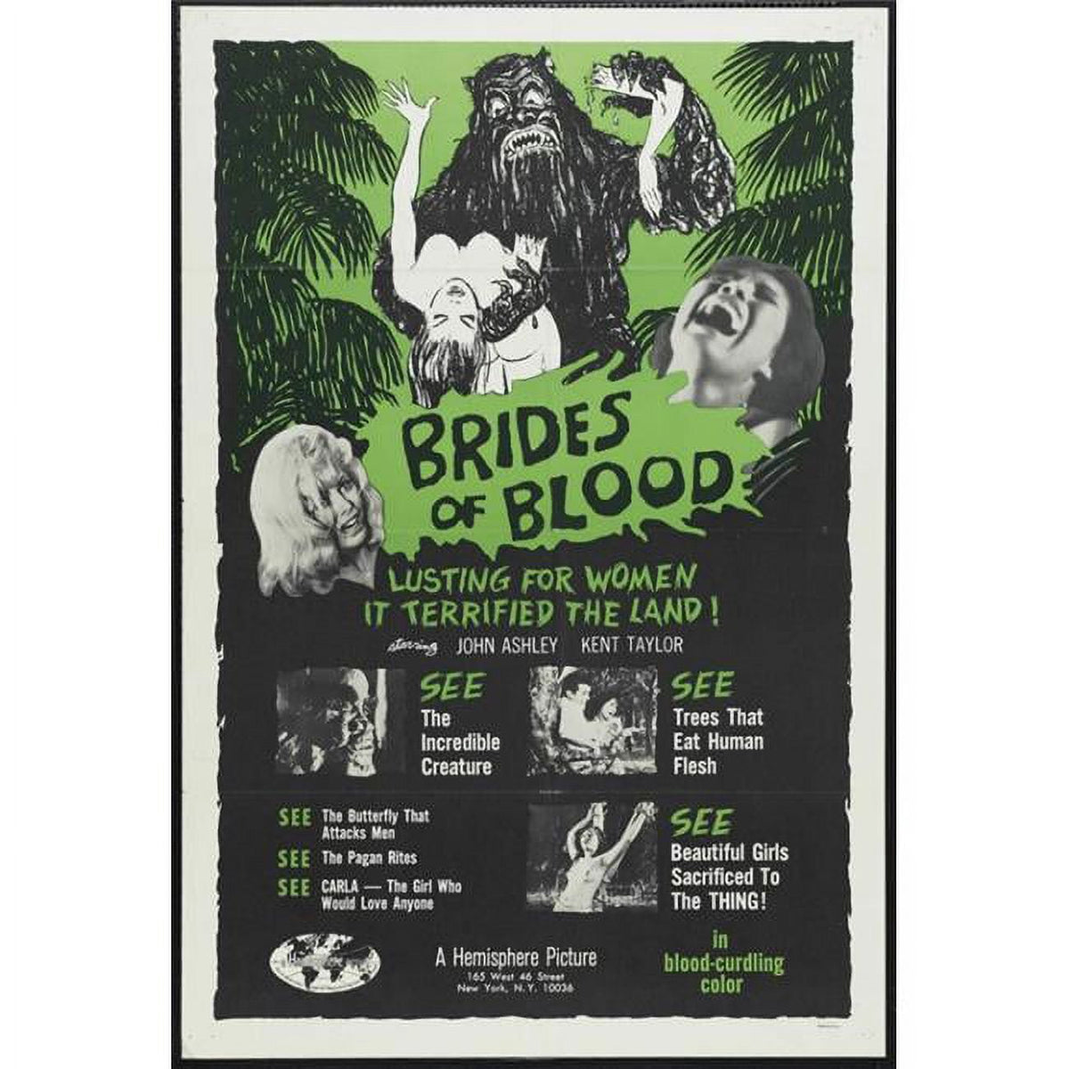 The Brides of Blood movie poster print in vibrant colors, 27x40 size.