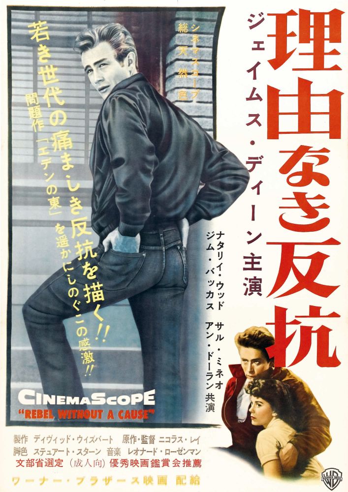 Rebel Without A Cause Movie Poster Masterprint 11x17