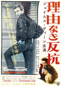 Rebel Without A Cause Movie Poster Masterprint 11x17