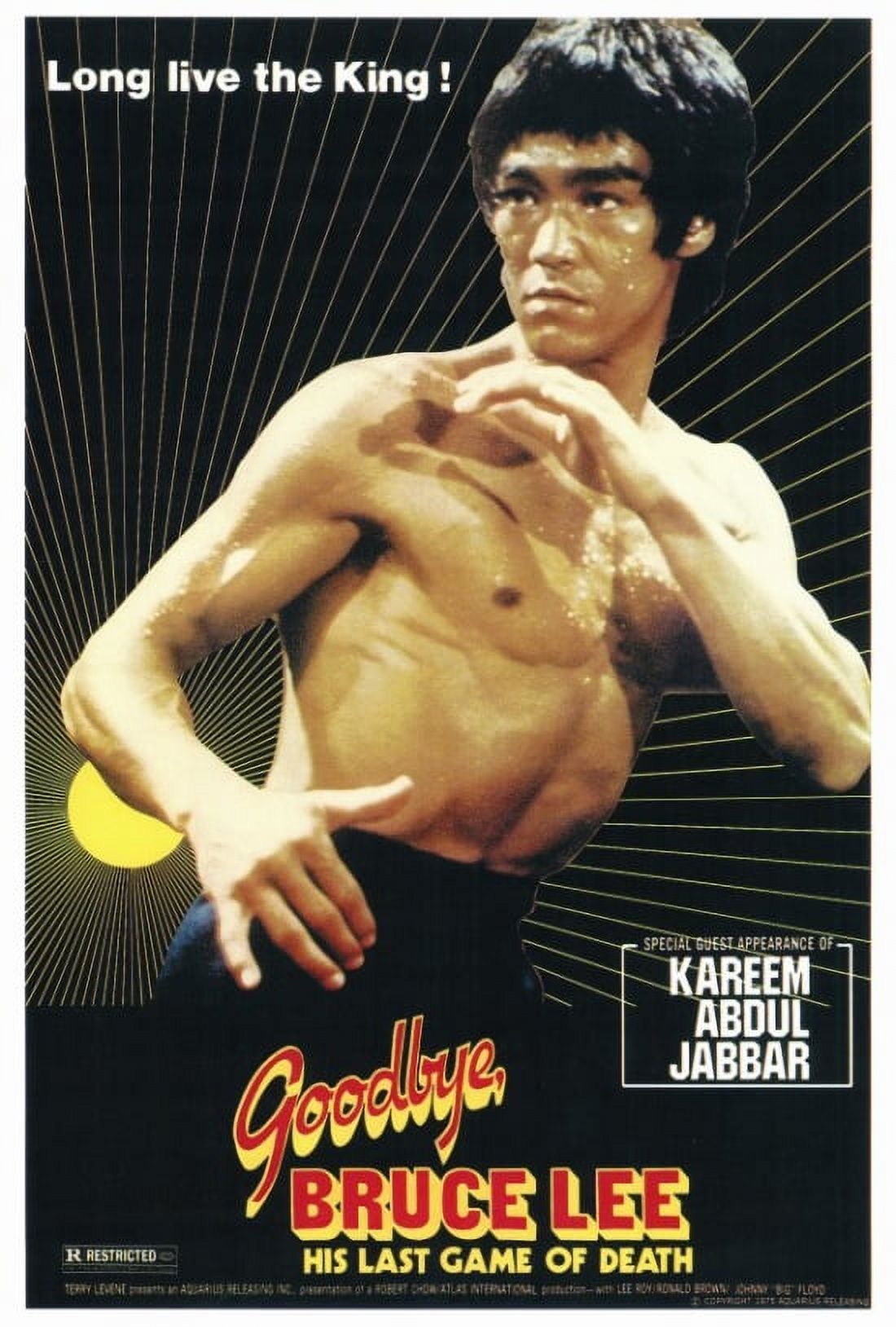 Goodbye Bruce Lee: His Last Game of Death movie poster print, 27x40 inches