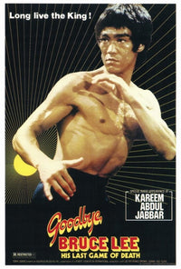 Goodbye Bruce Lee: His Last Game of Death movie poster print, 27x40 inches