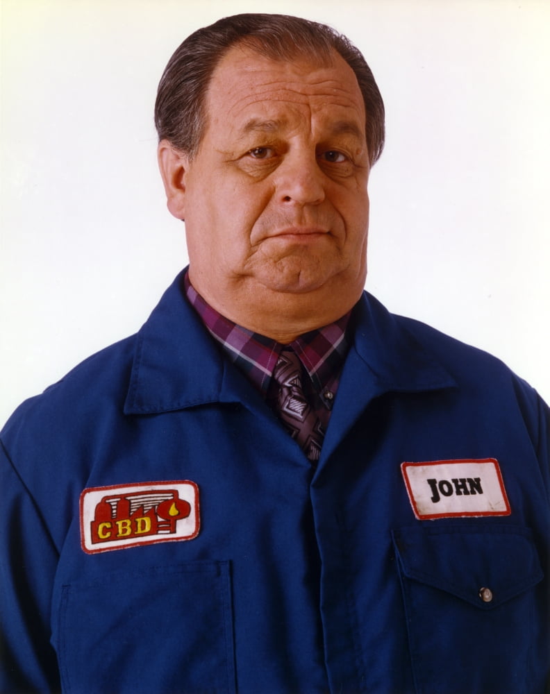 Close-up portrait photo print of Paul Dooley on a white background.