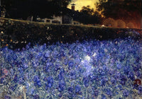 Summer Luxuriance Poster Print showcasing vibrant nature artwork.