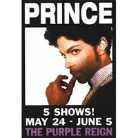 Prince Movie Poster 11x17 - Iconic Film Artwork