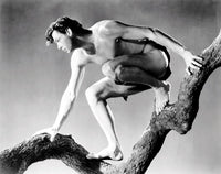 Tarzan and His Mate photo poster print featuring Johnny Weissmuller