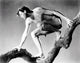 Tarzan and His Mate photo poster print featuring Johnny Weissmuller