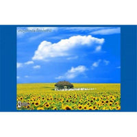 Everything is Illuminated Movie Poster 17x11 inches