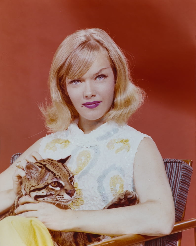 Anne Francis portrait photo print with baby leopard on red background.