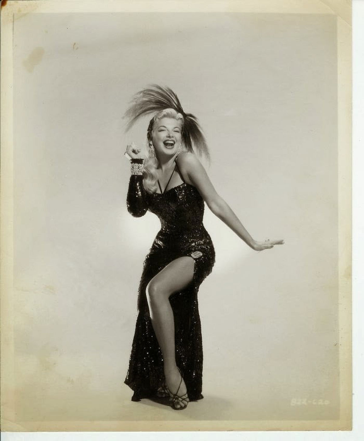 Barbara Nichols Feathers Photo Print showcasing elegant feathers, available in multiple sizes.