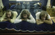 The Bee Gees lying on a bed photo print