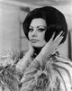 Sophia Loren in Arabesque 1966 photo print, showcasing classic cinema beauty.