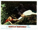 North by Northwest Still Poster Print showcasing iconic film art.