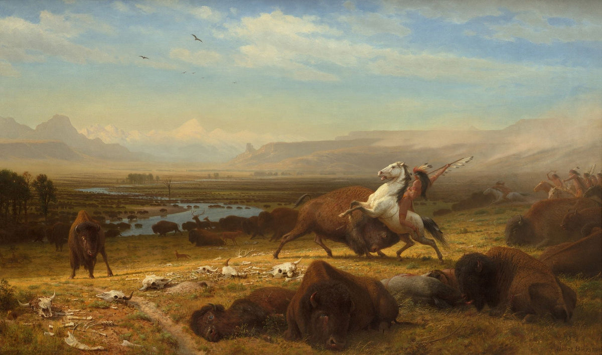 American Buffalo oil on canvas print by Albert Bierstadt, depicting wildlife in stunning detail.