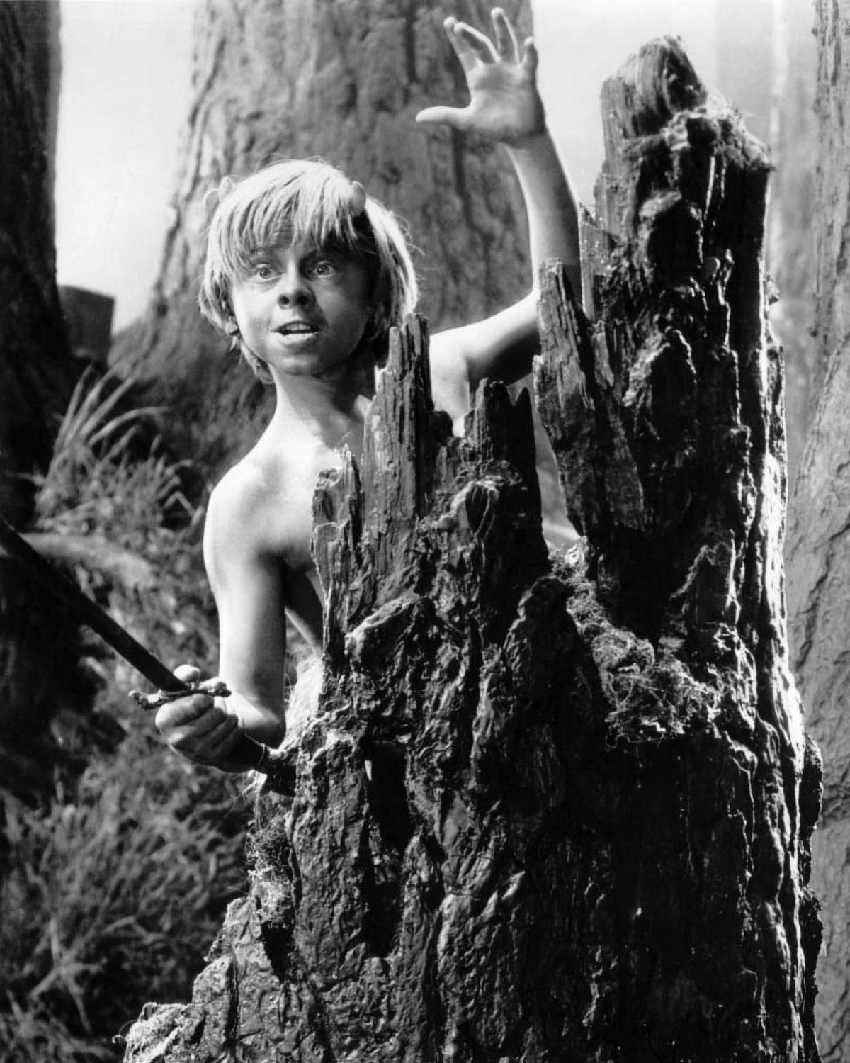 A Midsummer Night's Dream photo poster print featuring Mickey Rooney from the 1935 film.