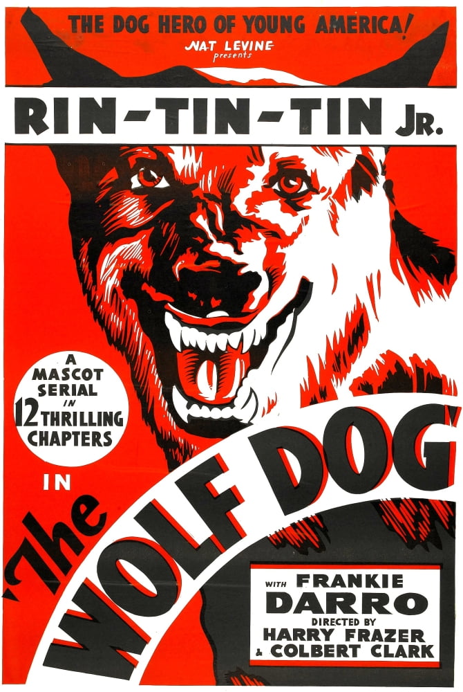 The Wolf Dog Rin Tin Jr. 1933 Movie Masterprint Poster
