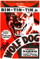 The Wolf Dog Rin Tin Jr. 1933 Movie Masterprint Poster