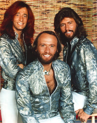 Bee Gees iconic band portrait photo print in various sizes.