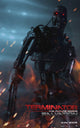 Terminator Salvation Movie Poster 11x17 print