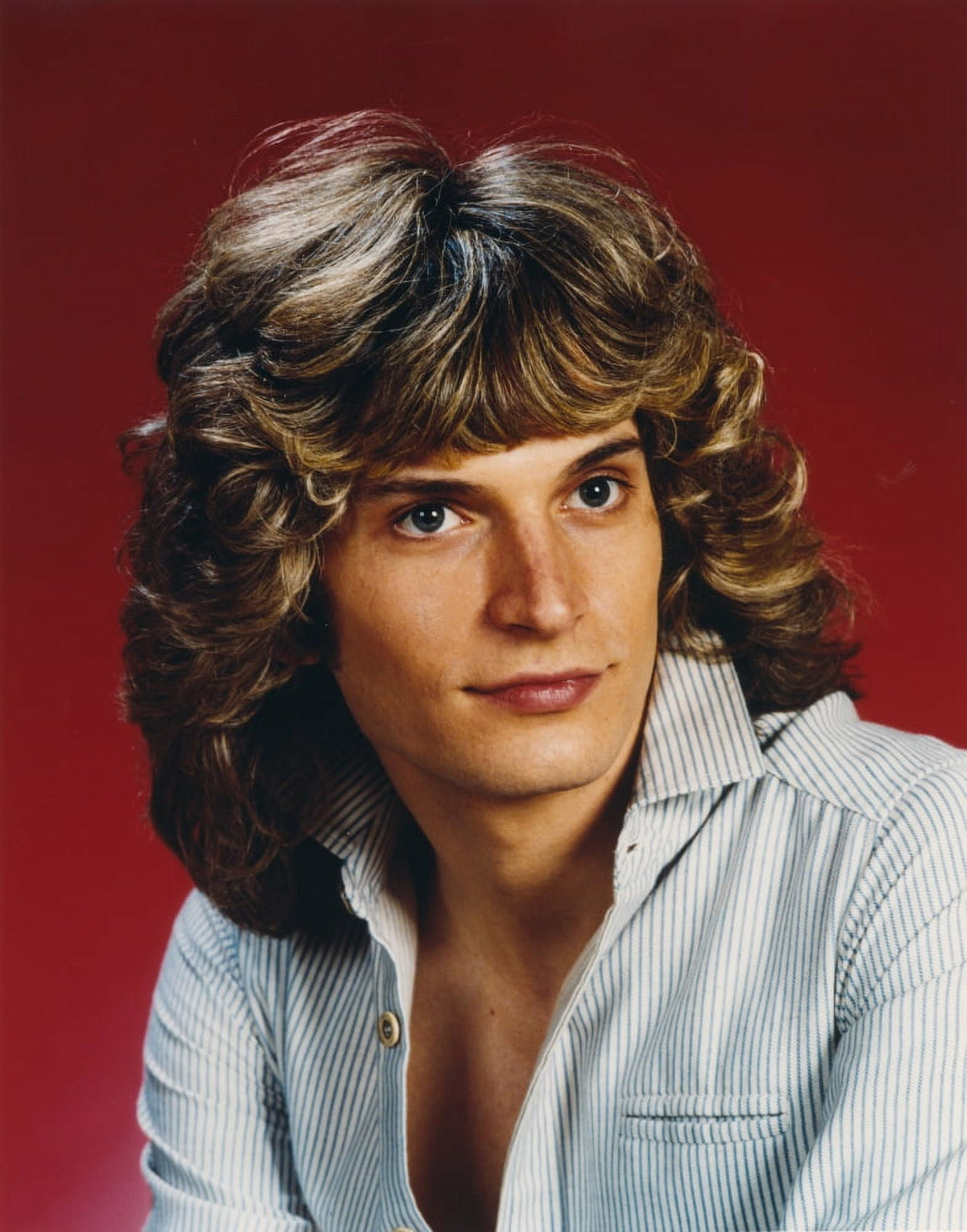 Rex Smith close-up portrait photo print showcasing iconic celebrity appeal.