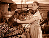 The Wizard of Oz Photo Print featuring vibrant colors and classic imagery.