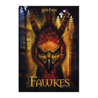 Harry Potter and the Chamber of Secrets Movie Poster 11x17