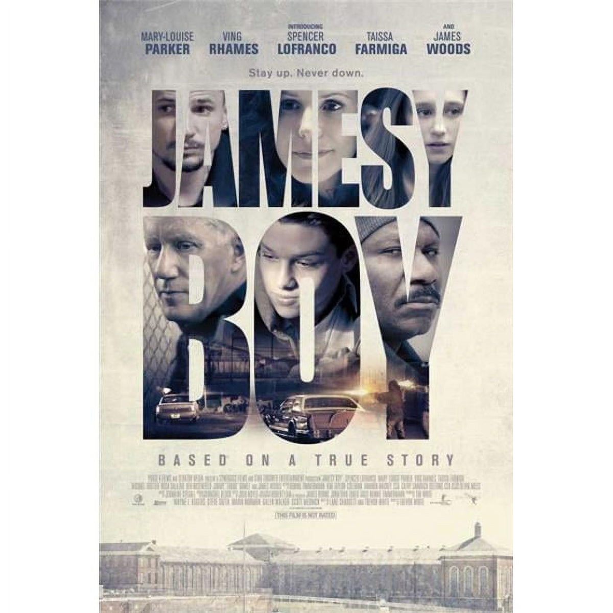 Jamesy Boy Movie Poster 11x17 print for home decor.