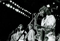 Bee Gees on stage concert photo print