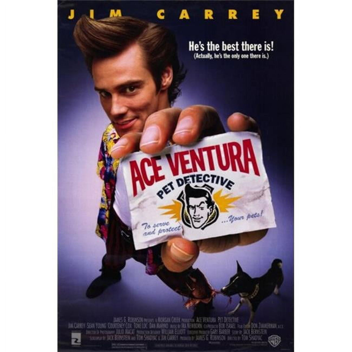 Ace Ventura Pet Detective Movie Poster 11x17 print