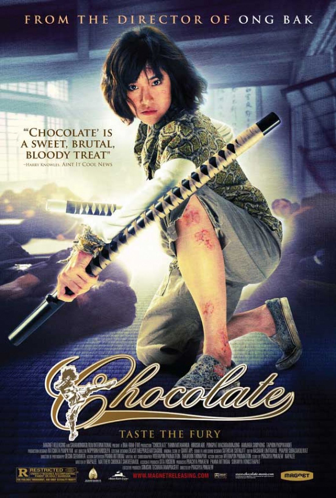 Chocolate Movie Poster 11x17 print highlighting whimsical cinema art.