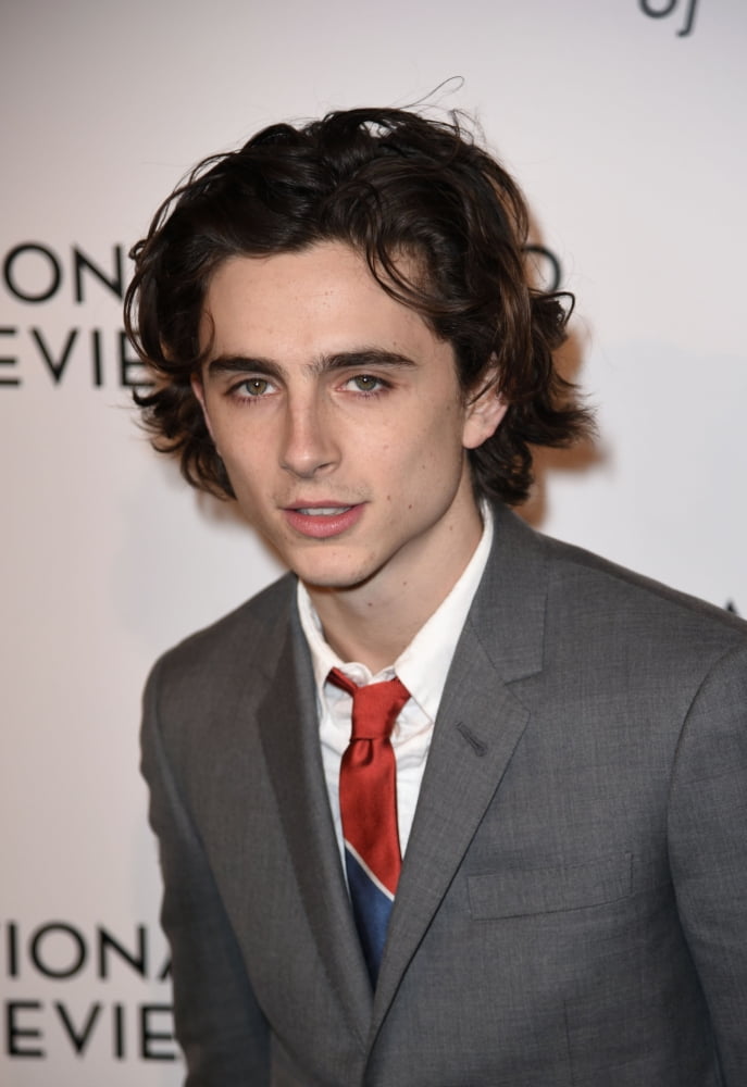 Timothée Chalamet at the 2018 National Board of Review Awards photo print