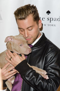 Lance Bass at ASPCA Young Friends Benefit Photo Print by Eric Reichbaum