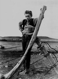James Dean posed in black vest leaning on a wired fence photo print