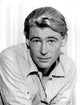 Classic portrait photo print of Peter O'Toole from 1962.