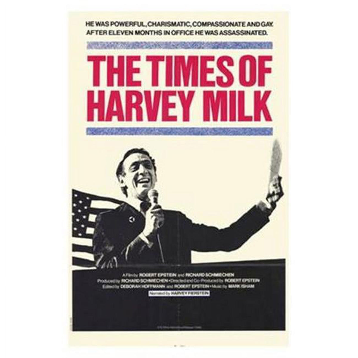 Times of Harvey Milk Movie Poster 11 x 17 print