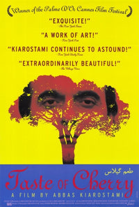 The Taste of Cherry Movie Poster 11x17 print