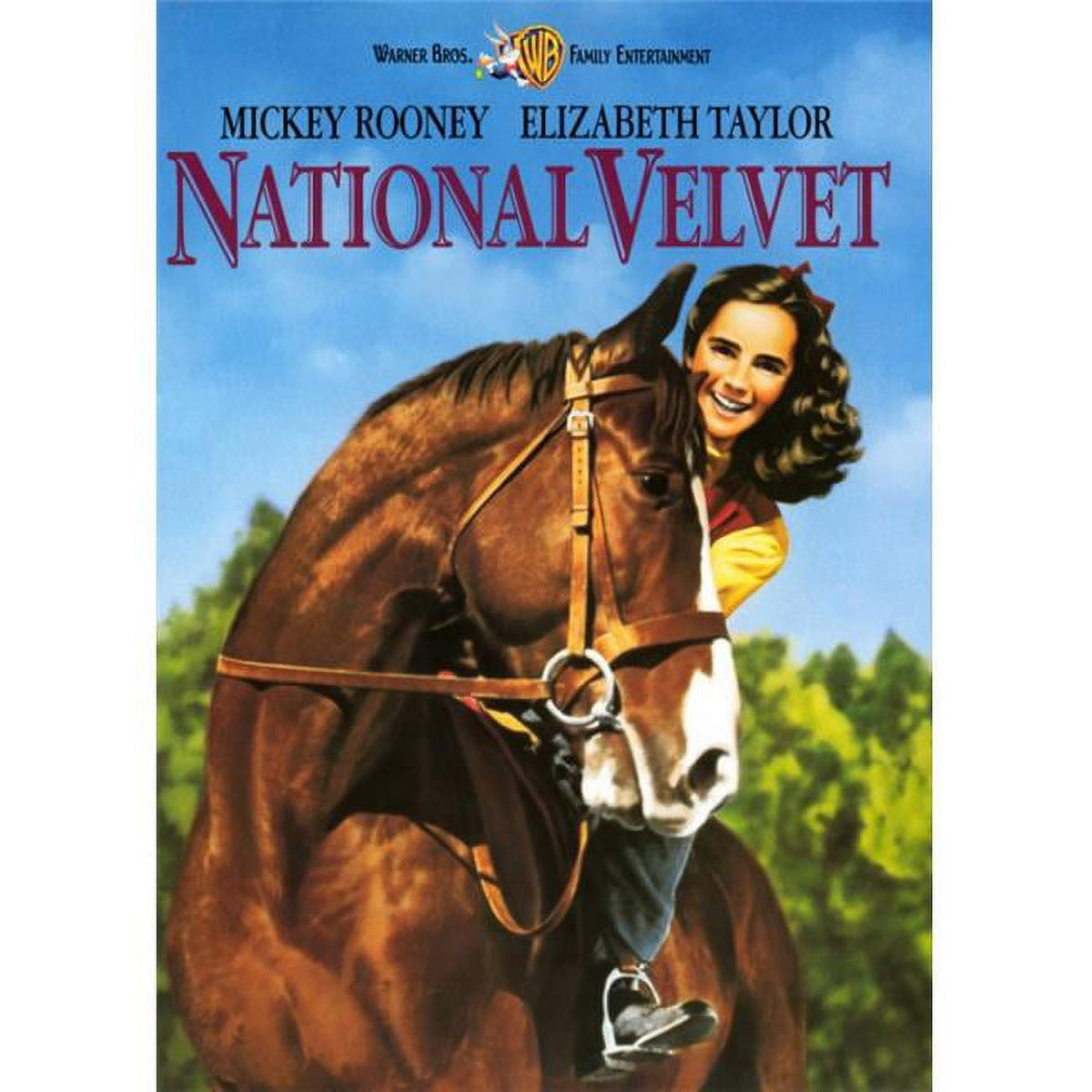 National Velvet movie poster print showcasing classic film art