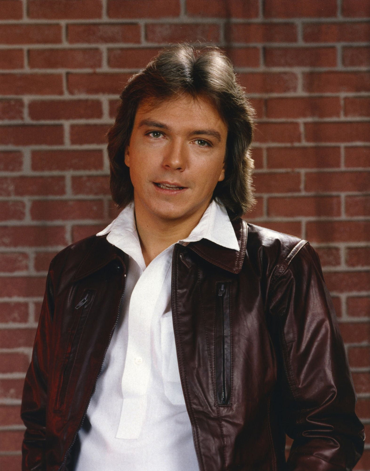 David Cassidy posed in brown jacket photo print