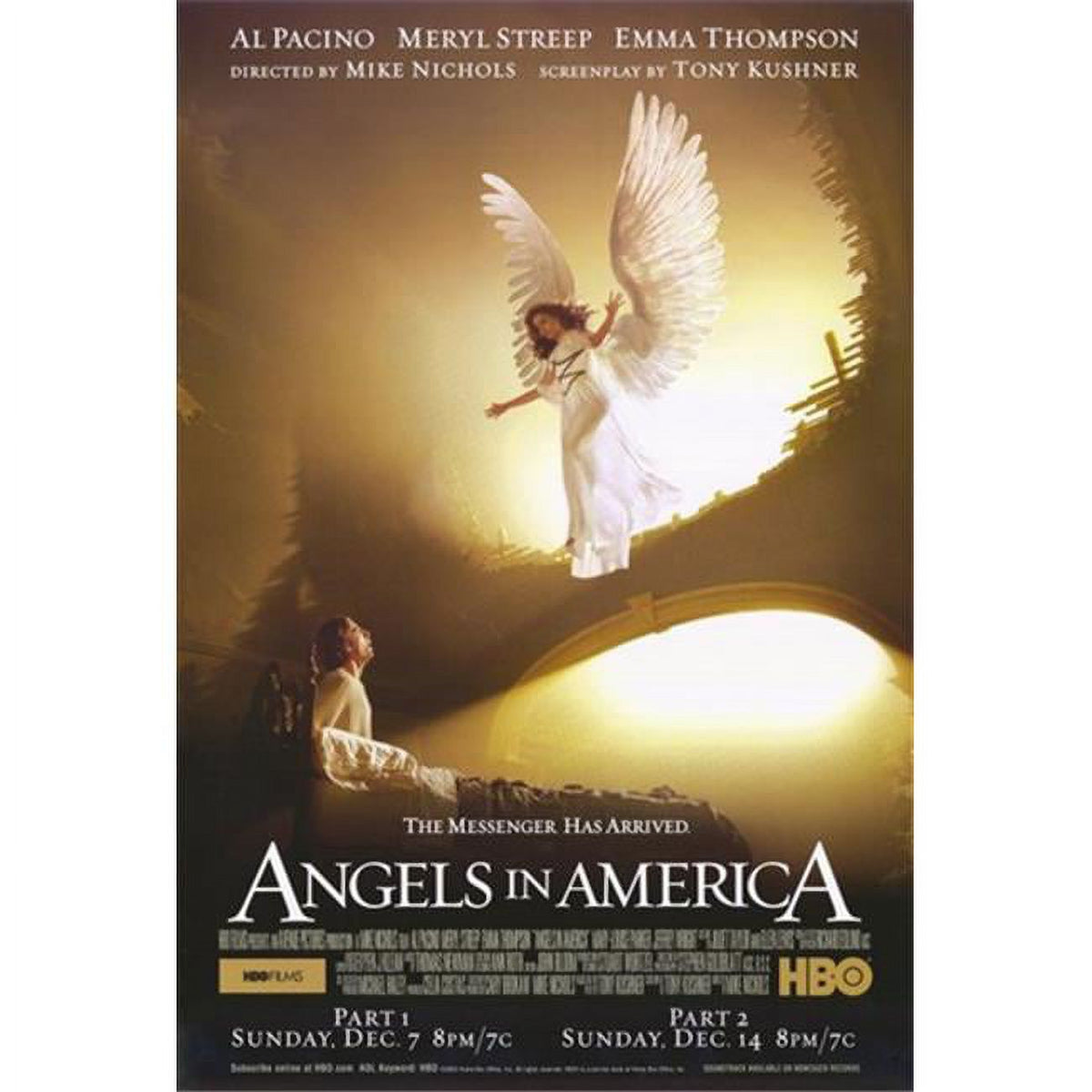 Angels in America Movie Poster - 11x17 size