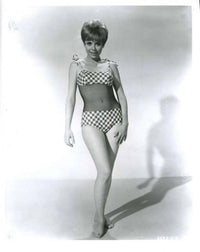 Plaid One Piece photo print featuring vibrant retro design.