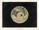 Mars Planet Poster Print by Étienne Léopold Trouvelot showcasing the beauty of the planet.