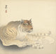Resting Tiger Woodcut Print by Ohara Koson, Japanese art