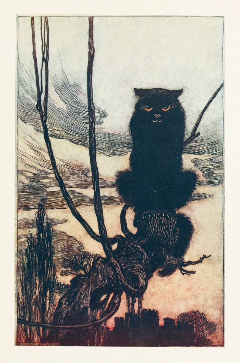 By Day She Made Herself Into a Cat Art Print by Arthur Rackham