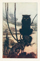 By Day She Made Herself Into a Cat Art Print by Arthur Rackham