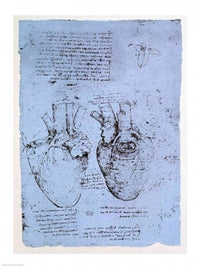 The Heart Poster Print by Leonardo Da Vinci showcasing intricate detail.
